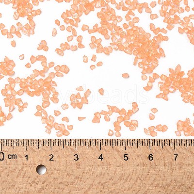 Transparent Electroplate Crushed Glass Craft GLAA-F123-01-1