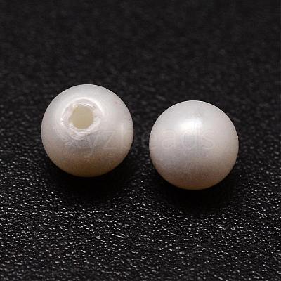 Shell Pearl Beads BSHE-L031-01-3mm-1