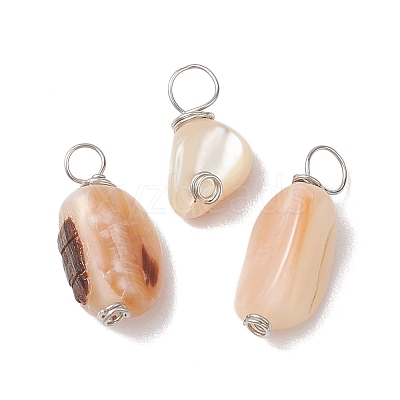 Natural Seashell Nuggets Charms PALLOY-JF02841-1
