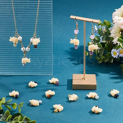 50Pcs Opaque Resin and Natural Mixed Stone Pendants FIND-HY0001-37-1