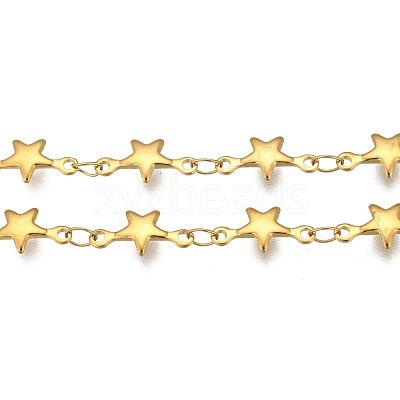 304 Stainless Steel Chains STAS-P197-059G-1