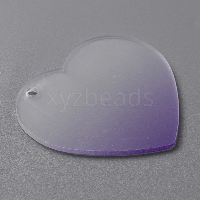 Gradient Transparent Acrylic Disc Big Pendants LS-FIND-WH0032-54E-1