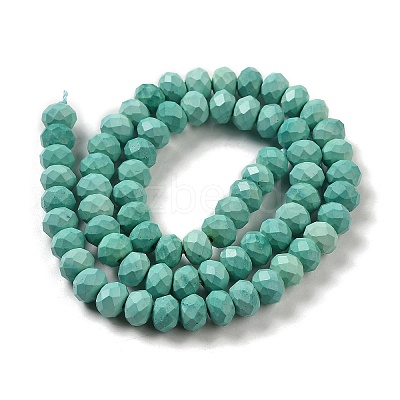 Dyed Natural Howlite Beads Strands G-G023-A01-01C-1