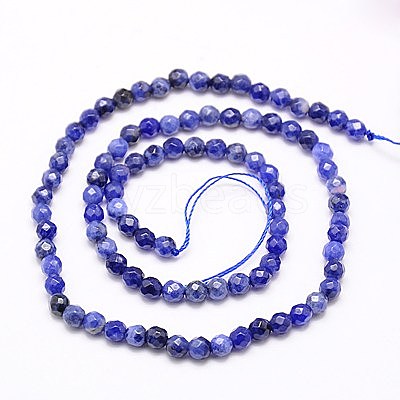 Natural Sodalite Beads Strands X-G-G545-16-1