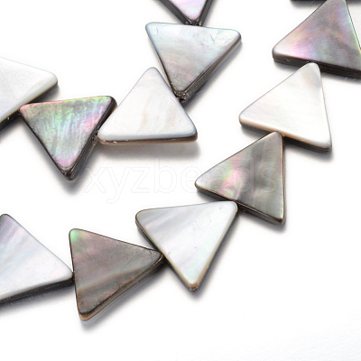 Natural Black Lip Shell Bead Strands X-SHEL-R018-03-1