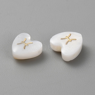 5Pcs Natural White Shell Beads BSHE-TAC0004-02D-1