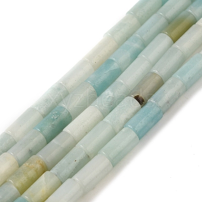 Natural Flower Amazonite Beads Strands G-B091-A08-01-1