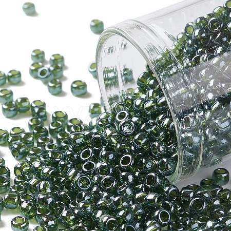 TOHO Round Seed Beads X-SEED-TR08-0119-1