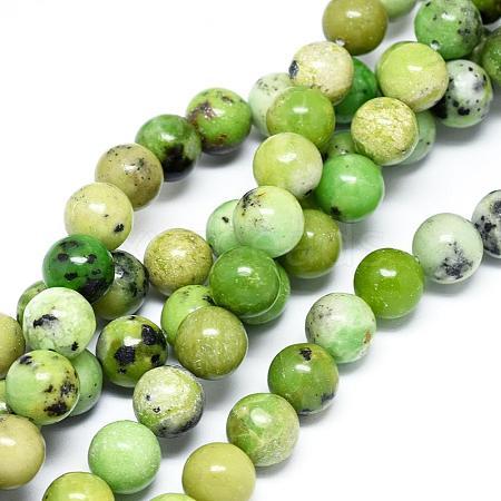 Natural Serpentine Beads Strands G-F576-01-10mm-1