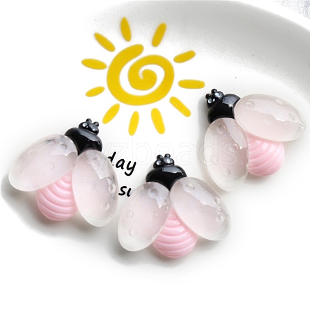 Luminous Resin Cabochons PW-WG8A58D-02-1