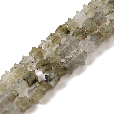 Natural Labradorite Beads Strands G-G085-B25-01-1