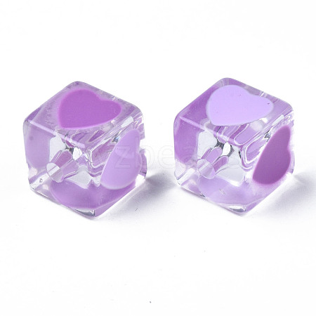 Transparent Acrylic Beads TACR-T004-10B-1