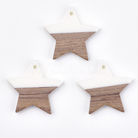 Resin & Wood Pendants X-RESI-T023-23B-1