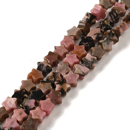 Natural Rhodonite Beads Strands G-G085-B16-01-1