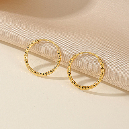 Chic Geometric Circle Brass Hoop Earrings for Women CW8514-1