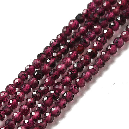 Natural Garnet Beads Strands X-G-I341-09A-1