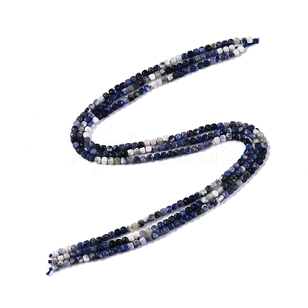 Gradient Color Natural Sodalite Beads Strands G-N342-114-1