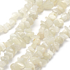 Natural White Moonstone Beads Strands G-P332-01-2