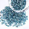 FGB Grade A Glass Seed Beads SEED-S022-04A-19-1