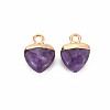 Natural Amethyst Charms G-N326-121-03-2