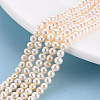 Natural Cultured Freshwater Pearl Beads Strands PEAR-R063-07A-1