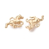 Brass Pendants KK-Q074-22G-2