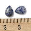 Natural Blue Spot Jasper Cabochons G-Q173-02B-14-3