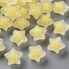 Transparent Acrylic Beads TACR-S152-02C-SS2105-1