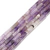 Natural Amethyst Beads Strands G-F247-53-1