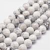 Natural Howlite Beads Strands G-D840-44-6mm-1