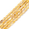 Natural Freshwater Shell Dyed Beads Strands SHEL-M018-13-09-1