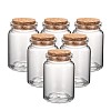 Glass Jar Glass Bottles Bead Containers LS-AJEW-S074-03B-1