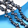 Natural Cultured Freshwater Pearl Beads Strands PEAR-N013-05L-01-1