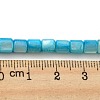 Natural Freshwater Shell Beads Strands SHEL-F008-04D-4