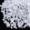 Two Cut Glass Seed Beads SEED-S018-11B-3