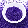 MIYUKI Delica Beads SEED-X0054-DB0610-2