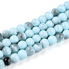 Baking Paint Glass Beads Strands DGLA-N013-8mm-03-1