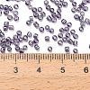 Transparent Colours Glass Seed Beads SEED-H004-01C-3