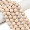 Natural Fossil Beads Strands G-E110-14mm-2-1