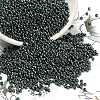 TOHO 11/0 Round Beads X-SEED-TR11-0601-1