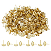 400Pcs Iron Nails IFIN-FH0001-98G-1