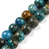 Natural Chrysocolla Beads Strands G-P503-10MM-05-1