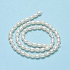 Natural Cultured Freshwater Pearl Beads Strands PEAR-J006-14C-01-3