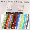 16 Strands 16 Colors Glass Beads Strands EGLA-PA0001-37B-2