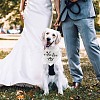 Cotton Dog's Kerchief AJEW-WH0503-097-7