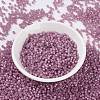 MIYUKI Round Rocailles Beads SEED-JP0009-RR0645-2