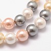 Shell Pearl Bead Strands BSHE-L017-17-5
