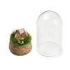 Natural Gemstone Nuggets Display Decoration with Glass Dome Cloche Cover DJEW-B009-04-3