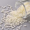 12/0 Grade A Round Glass Seed Beads X-SEED-N001-B-142-1