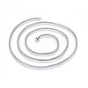 304 Stainless Steel Rolo Chain Necklaces NJEW-L047-02A-P-2
